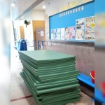 STARCO RUMAT230 柔道墊, 符合IJF標準, 技擊運動地墊